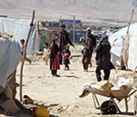 ملل متحد: 193 هزار افغان در سال جاري آواره شدهاند